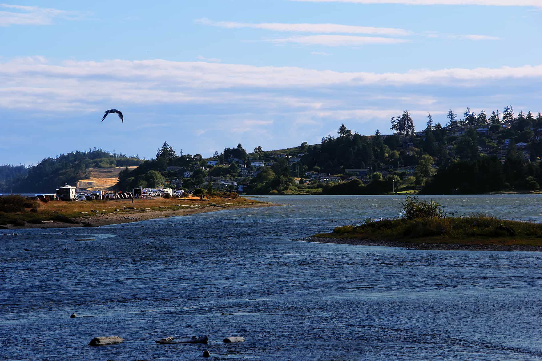 Esquimalt Lagoon